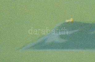 cca 1940-1950 Balaton Hungary, sirályos IBUSZ plakát, jelzett (Konecsni György?), gyűrődésekkel, kis...