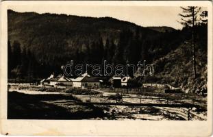 Felsővisó, Viseu de Sus (Máramaros); Vasér völgye, Fajna telep, fűrésztelep / sawmill