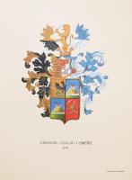 ca 1900 16 db különböző nemesi címer, Litografált címerrajzok, ca 1900 Posner Károly., lap méret 25x...