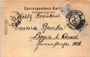 1899 (Vorläufer) Ivano-Frankivsk, Stanislawów, Stanislau; Ulica Sapiezynska / street (EK)