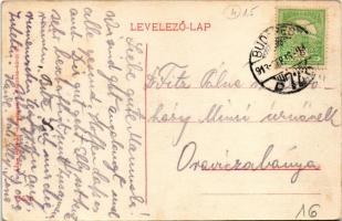 1913 Budapest I. Tabán, Kilátás a Gellérthegyről, kávé és tejcsarnok, vár, Rácz templom. Ádám Herman...