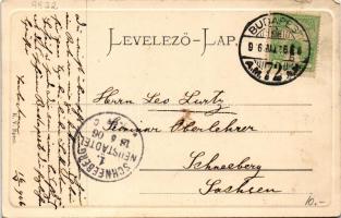 1906 Budapest XI. Gellérthegy, "HATTYÚ" gőzüzemű ingahajó