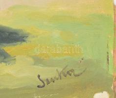 Sinka jelzéssel: Csikós. Olaj, karton, jelzett, sérült, 35x25 cm