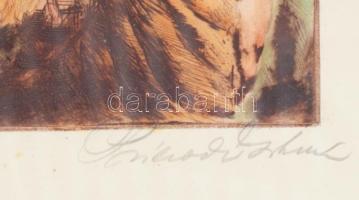 Prihoda István (1891-1965): Lány virágkosárral. Színezett rézkarc, papír, üvegezett fakeretben, 25×2...