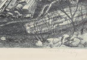 Csisztu Mihály (1933-2008): Tiszapart II. Rézkarc, papír, jelzett, üvegezett keretben , 29x39 cm