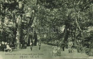 Torda Széchenyi park with memorial tree of the 13 martyrs of Arad