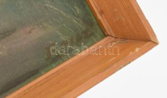 Roisz Erzsébet: Nyári erdő. Olaj, vászon, jelzett, kis benyomódásokkal 50x38 cm