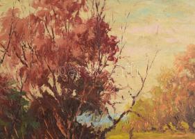 V. Faragó Ferenc (1919-1956): Atmoszférikus táj. Olaj, vászon. Jelezve jobbra fent.75x80 cm. Fakeret...