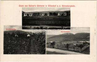 Willendorf an der Schneebergbahn, Gruss aus Kaltners Gärtnerei, Baumschule, Gemüsegarten / horticulture and nursery, vegetable garden (cut)