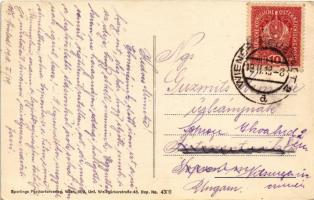 1918 Wiener Neustadt, Bécsújhely; Wienerstrasse, Münchengrätzer Schuh Fabrik, Posthof Bazar, Alfed T...