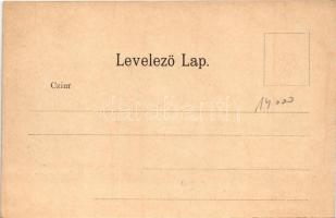 Tátra, Magas-Tátra, Vysoké Tatry; Csorba-tó, fogaskerekű vasút felső állomása, vonat. Verlag C. Schr...