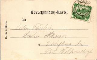 Baden bei Wien, Wilh. Hiedl's Hotel und Gasthof zum schwarzen Bock / hotel and restaurant (fa)