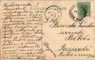 1907 Amstetten. Grüsse aus Nieder-Österreich / Greeting montage with train (EK)