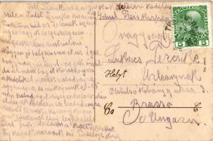 1910 Traiskirchen, prosit / Greeting montage with lady drinking wine, grapes