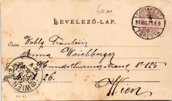 1898 (Vorläufer) Budapest XII. Svábhegy, Fogaskerekű vasút végállomása, vasútállomás, szálloda, Szak...