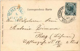 Weinzierl am Walde, Burg Hartenstein. Phot. Fr. v. Prandstetter, Joh. Saska Art Nouveau litho (fl)