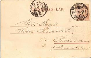 1899 (Vorläufer) Budapest V. Deák Ferenc tér, Reinisch Testvérek Élővirág csarnoka, Anker Udvar, Sch...