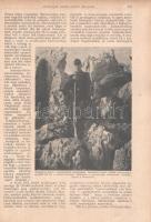 Tolnai: A világháború története 1914-1917. Diplomáciai okiratok, hivatalos jelentések, szemtanúk hit...