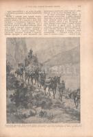 Tolnai: A világháború története 1914-1917. Diplomáciai okiratok, hivatalos jelentések, szemtanúk hit...