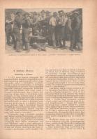 Tolnai: A világháború története 1914-1917. Diplomáciai okiratok, hivatalos jelentések, szemtanúk hit...