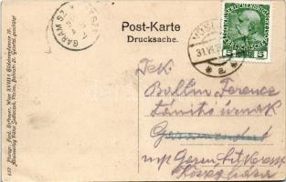 1910 Bad Vöslau. Gruss aus / Art Nouveau montage with wine and grapes (fl)