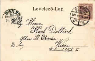 1901 Sopron, Széchenyi tér, villamos, Steinhöfer József üzlete (fl)