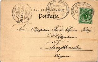 1898 (Vorläufer) Swierklaniec, Neudeck; Das alte Schloss / castle (EK)