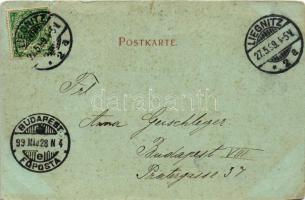 1899 (Vorläufer) Legnica, Liegnitz; night (small tear)