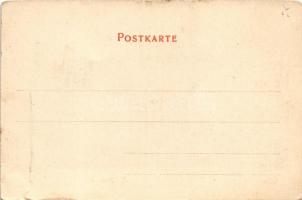 Karkonosze, Krkonose, Riesengebirge; Hampelbaude / Schronisko Strzecha Akademicka / mountain rest ho...