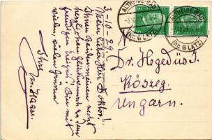 1929 Polanica-Zdrój, Bad Altheide (Klodzko, Kr. Glatz); M. Haase Pension Heide-Schlösschen / hotel (...