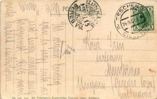 1907 Cieszyn, Teschen a. d. Olsa; Zentralbahnhof / railway station, locomotive, train. Ed. Feitzinge...