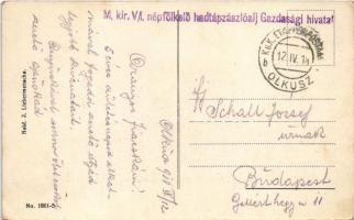 1918 Olkusz, Kosciol / Kirche / church (EK) + "M. kir. V/I. népfölkelő hadtápzászlóalj Gazdaság...