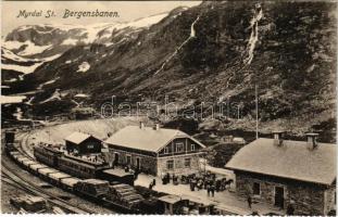 Myrdal (Auerland), Railway Station Bergensbanen, trains