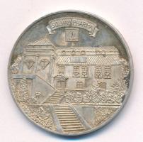 Bognár György (1944-) 2001. "Solvay Pharma - Legyen velünk az új évezredben is" Ag emlékér...