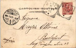 1904 Marina di Massa, Villa Mattioli (fl)