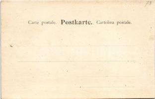 Tre Cime di Lavaredo, Drei Zinnen (Südtirol); Hütte, Ampezzo / mountain rest house. Fritz Gratl phot...