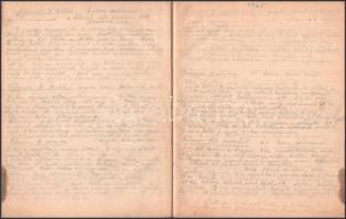 cca 1930-1956 Ottenreiter Károly (1874-?) kesztyű és bőrgyáros 3 naplója. Rendkívül alapos, és részl...