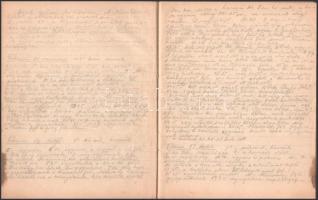 cca 1930-1956 Ottenreiter Károly (1874-?) kesztyű és bőrgyáros 3 naplója. Rendkívül alapos, és részl...