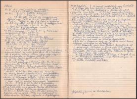 cca 1930-1956 Ottenreiter Károly (1874-?) kesztyű és bőrgyáros 3 naplója. Rendkívül alapos, és részl...