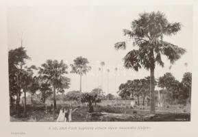 Gubányi Károly (1867-1935): Gubányi Károly: Ausztrália. Magyar Földrajzi Társaság Könyvtára. Bp., [1...