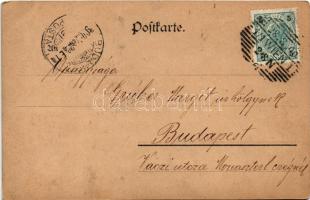 1900 Art Nouveau lady, Floral (fl)