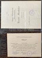 1975. "OMFB (Országos Műszaki Fejlesztési Bizottság) - 10 éves Törzsgárda" bronz kitüntető...