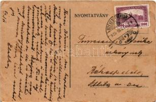 1925 Art postcard with villa (EB)