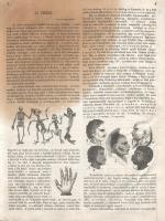 [Folyóirat] A nagy világ képekben. Közhasznu házikönyv, a magyar nemzet anyagi, szellemi javára. Kia...