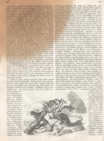 [Folyóirat] A nagy világ képekben. Közhasznu házikönyv, a magyar nemzet anyagi, szellemi javára. Kia...