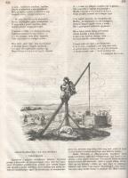 [Folyóirat] A nagy világ képekben. Közhasznu házikönyv, a magyar nemzet anyagi, szellemi javára. Kia...