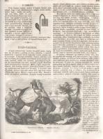 [Folyóirat] A nagy világ képekben. Közhasznu házikönyv, a magyar nemzet anyagi, szellemi javára. Kia...