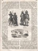 [Folyóirat] A nagy világ képekben. Közhasznu házikönyv, a magyar nemzet anyagi, szellemi javára. Kia...