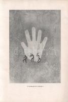 Almásy László: 
Az ismeretlen Szahara. 94 képmelléklettel, térképpel.
Budapest, [1934]. Franklin-T...