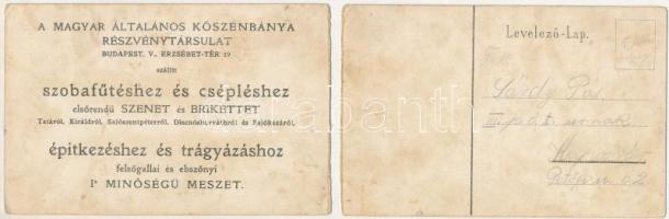 Tatabánya, A Magyar Általános Kőszénbánya Részvénytársulat szénbányájának metszete, brikettgyár. Bru...